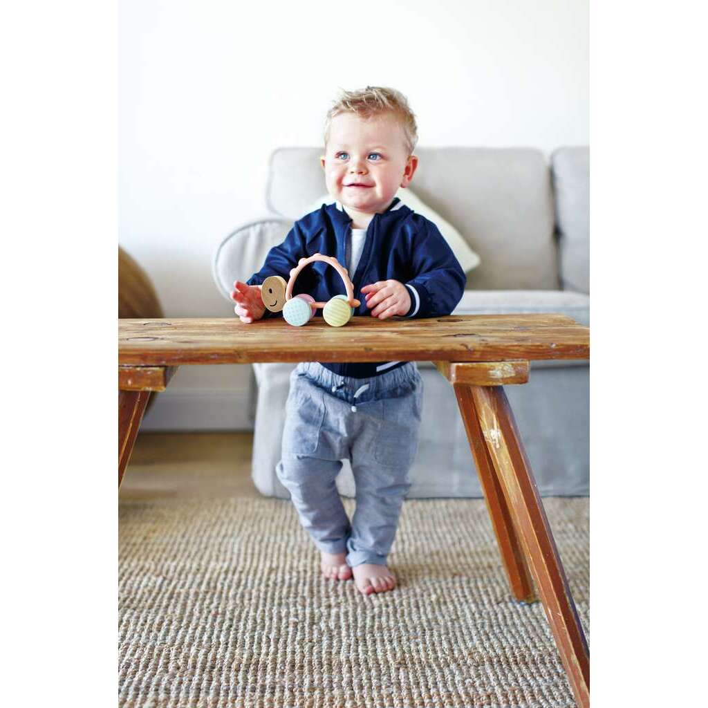 Tartaruga turbo Tartaruga turbo