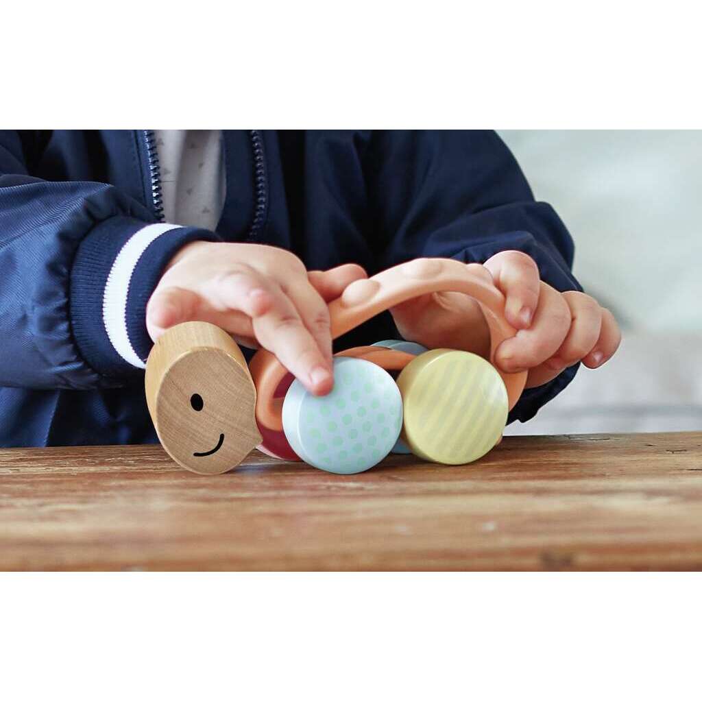 Tartaruga turbo Tartaruga turbo