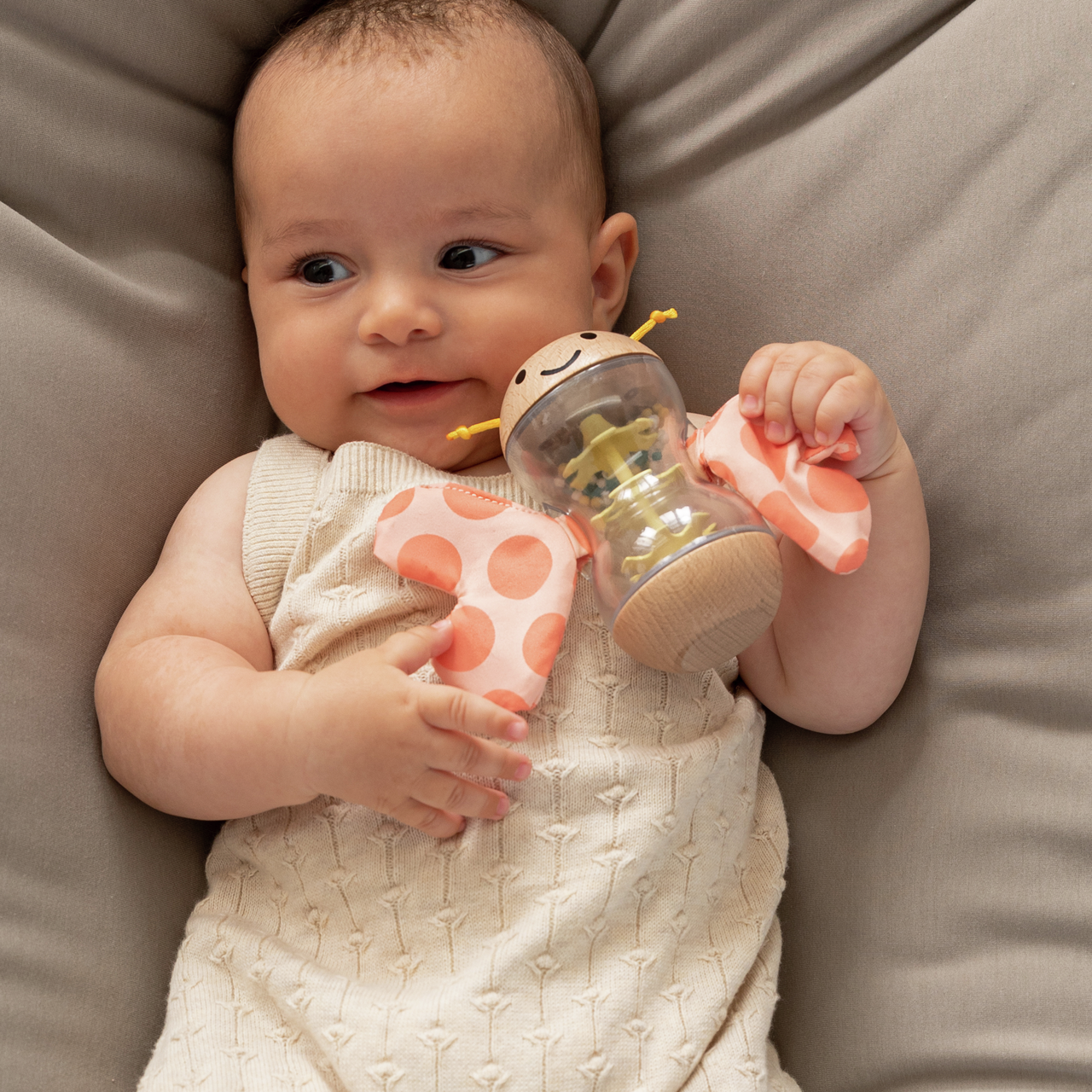 Farfalla danza della pioggia Farfalla danza della pioggia