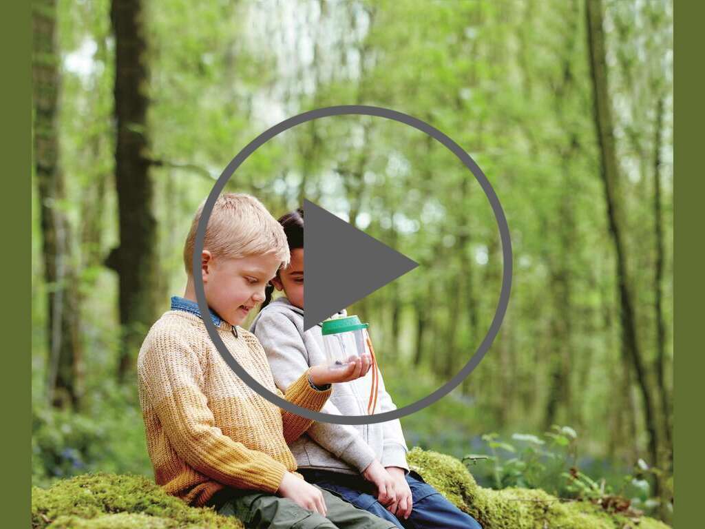 Barattolo per gli insetti Barattolo per gli insetti