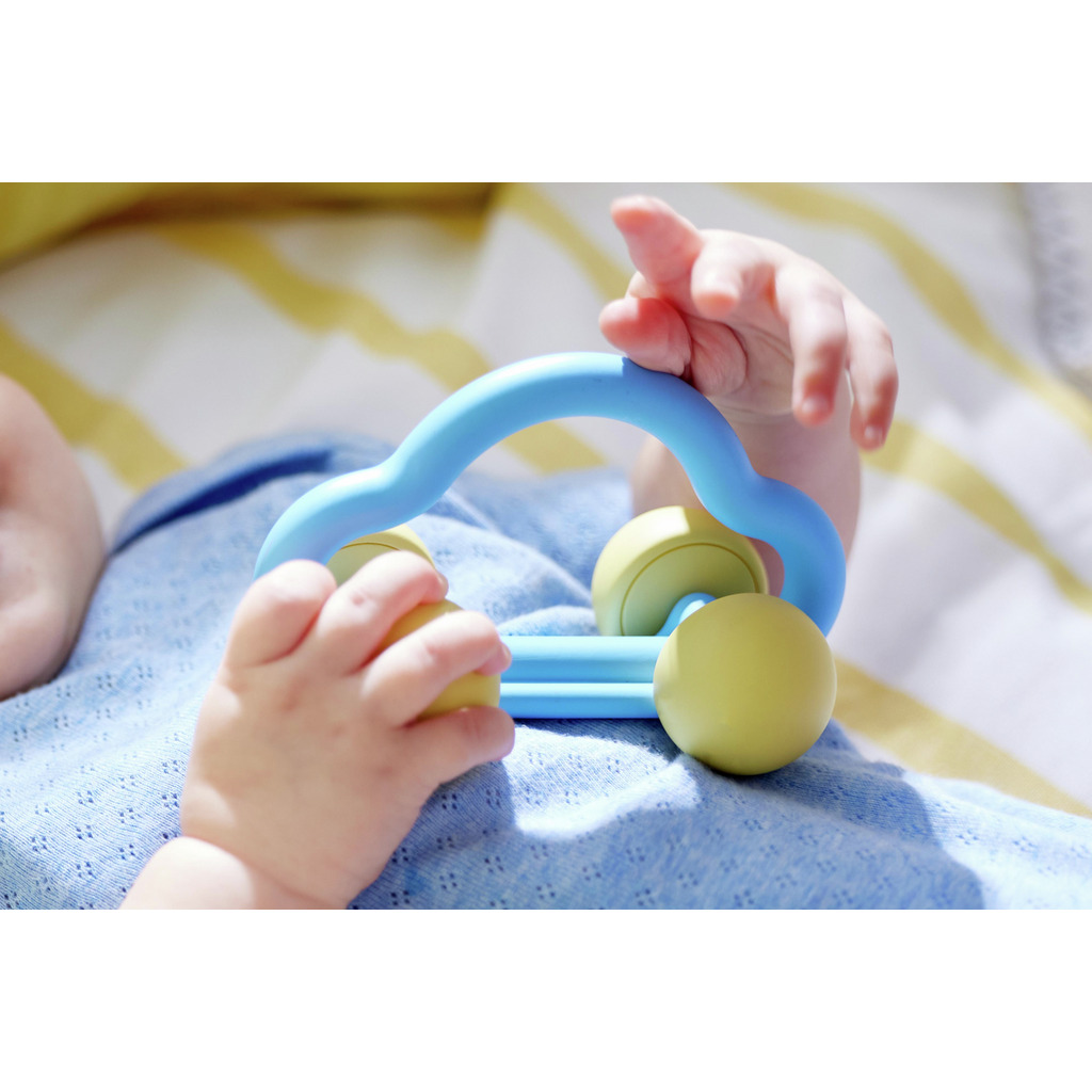 Macchinina sonaglio Macchinina sonaglio