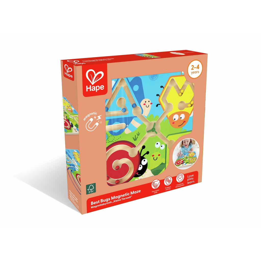 Labirinto magnetico Insetti Labirinto magnetico Insetti