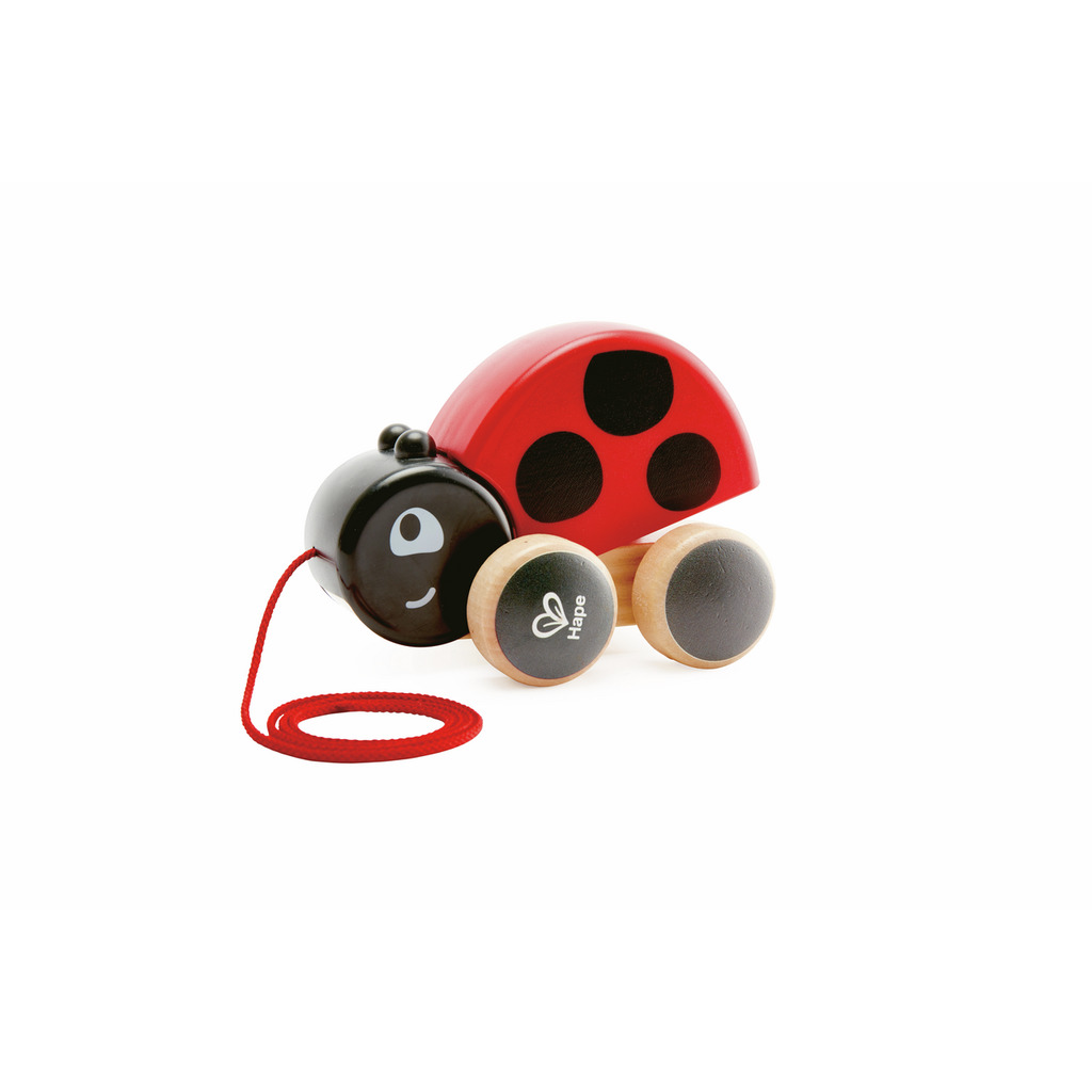 Coccinella trainabile