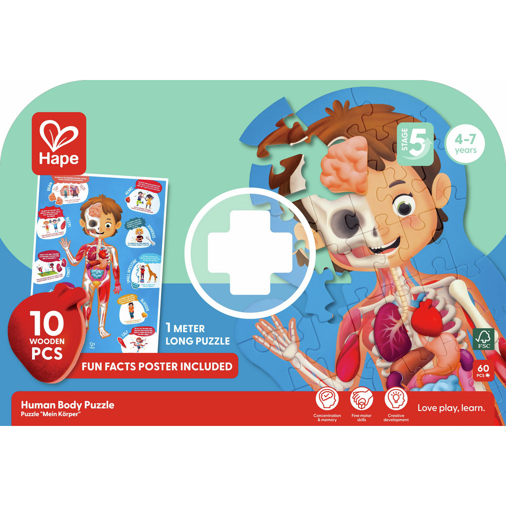 Puzzle Corpo umano Puzzle Corpo umano