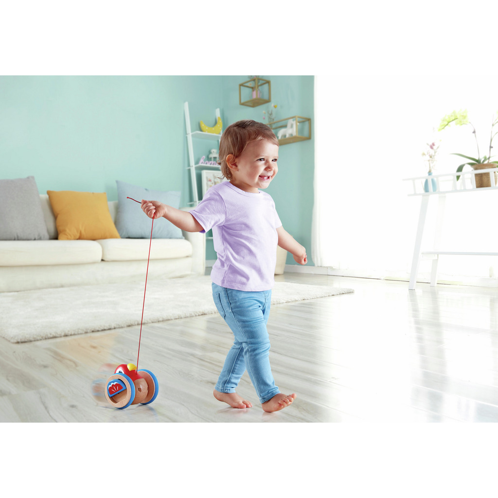 Uccellino trainabile Uccellino trainabile