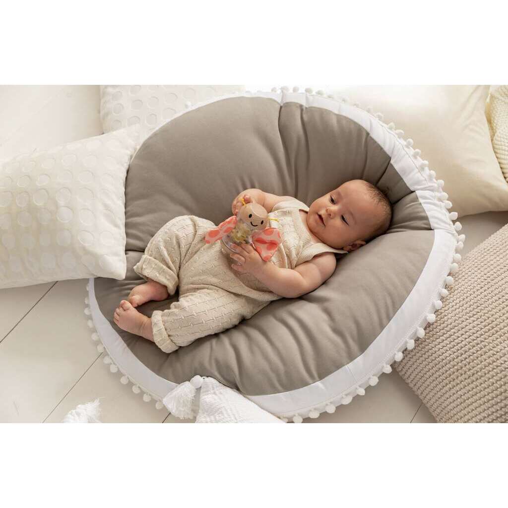 Farfalla danza della pioggia Farfalla danza della pioggia