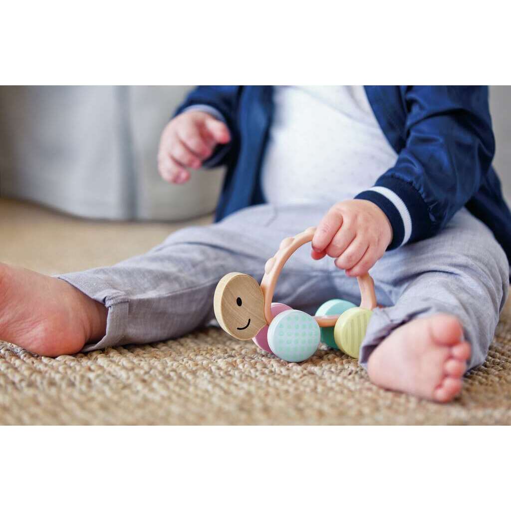 Tartaruga turbo Tartaruga turbo