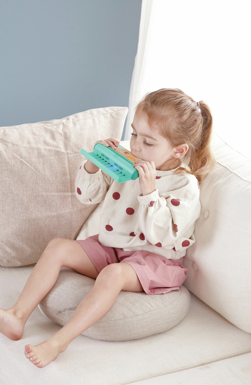 Armonica a ritmo di Luci