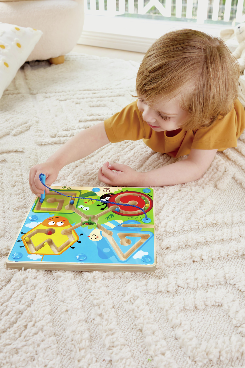 Labirinto magnetico Insetti Labirinto magnetico Insetti