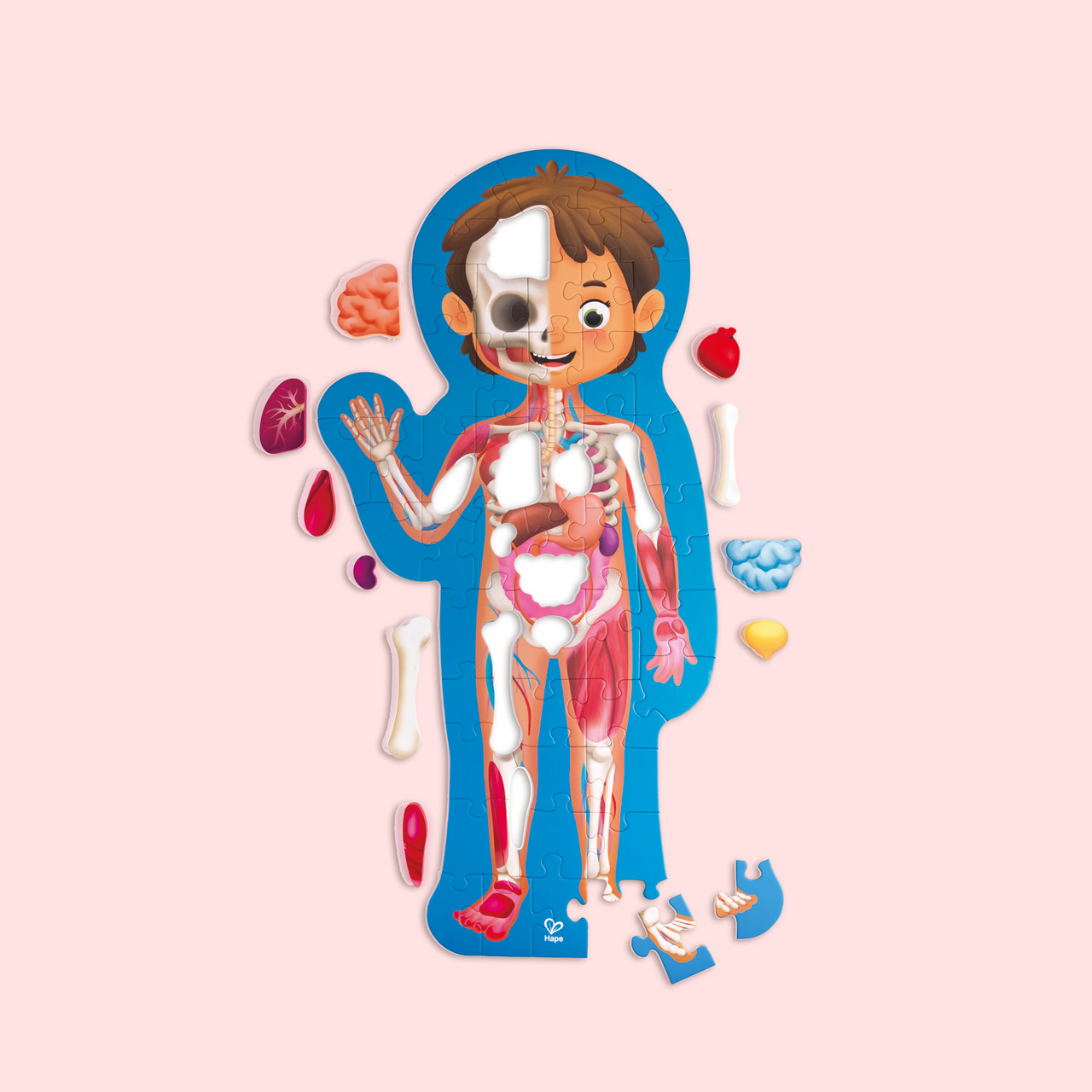 Puzzle Corpo umano Puzzle Corpo umano