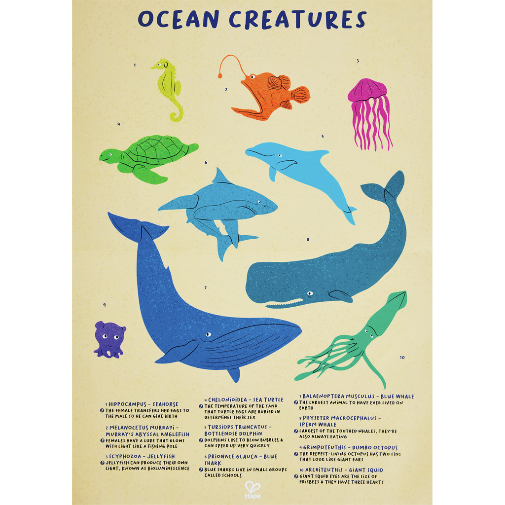 Puzzle brillante megattera -200 pezzi