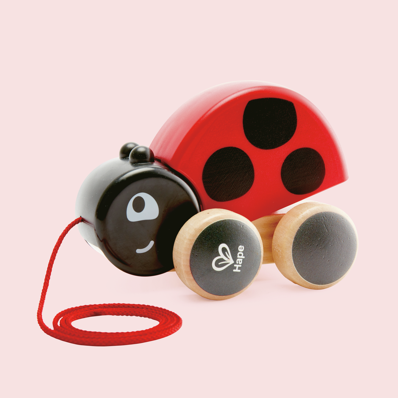 Coccinella trainabile Coccinella trainabile