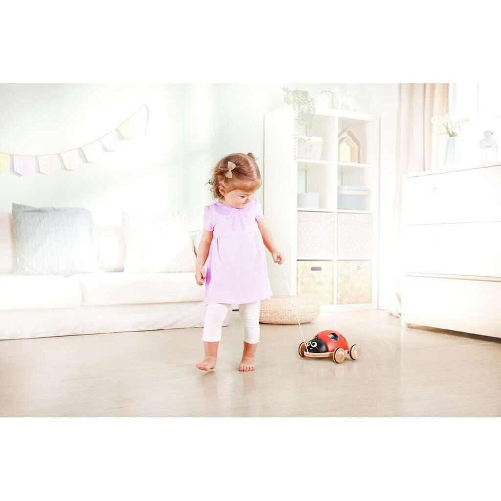 Coccinella selezionatore di forme Coccinella selezionatore di forme