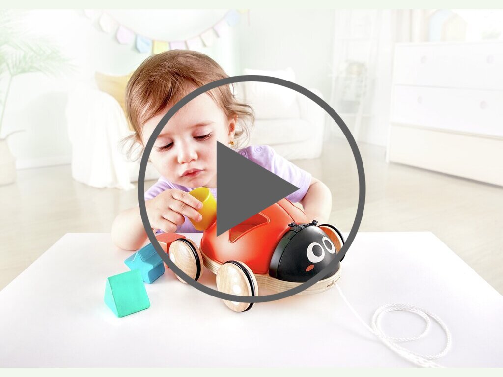 Coccinella selezionatore di forme Coccinella selezionatore di forme