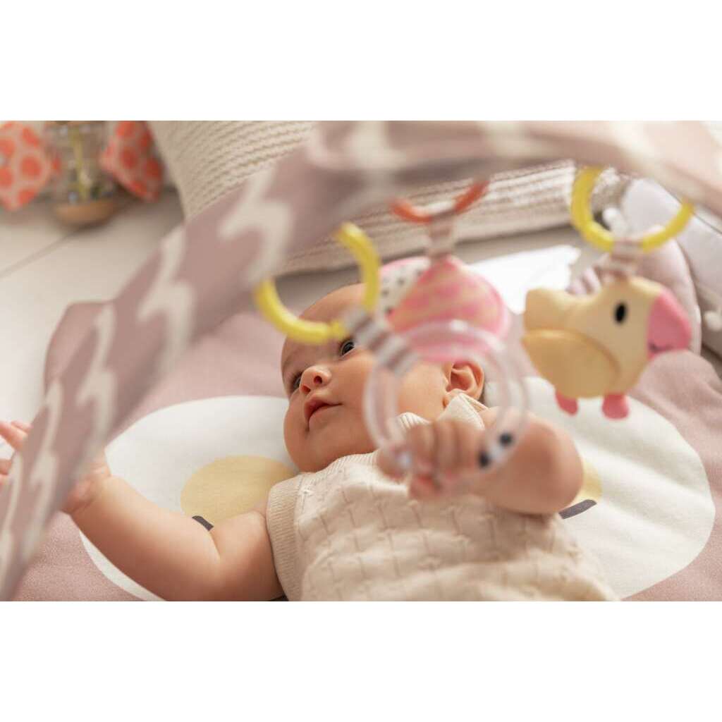 Palestrina Gufo Palestrina Gufo