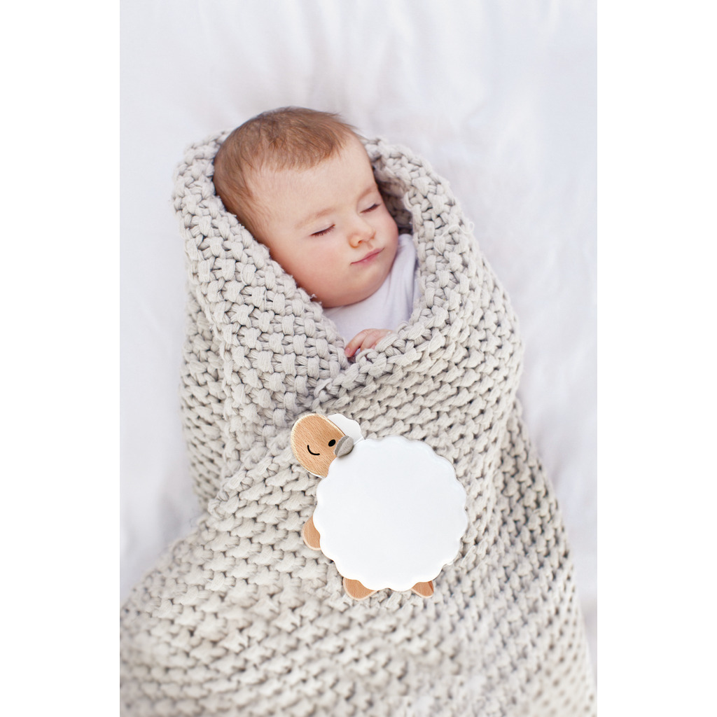 Piccoli amici animali