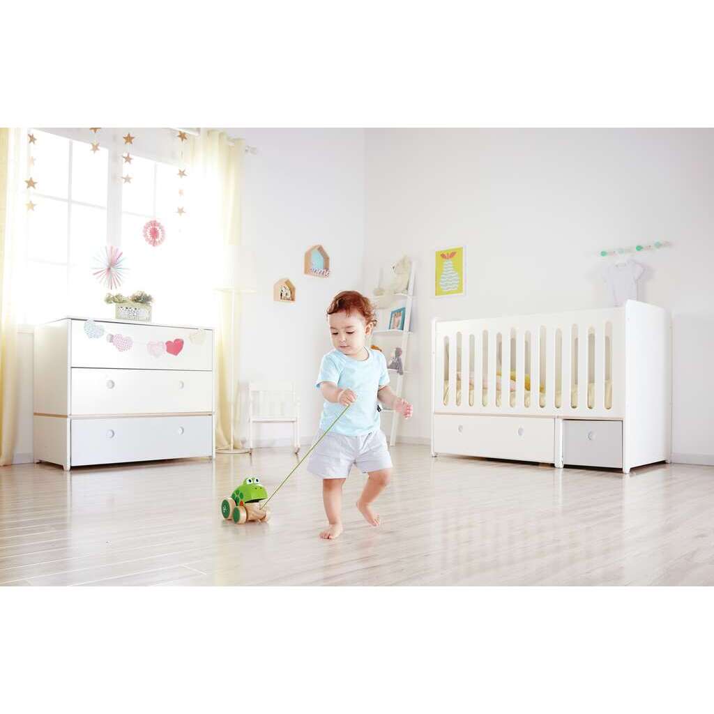 Rana trainabile Rana trainabile